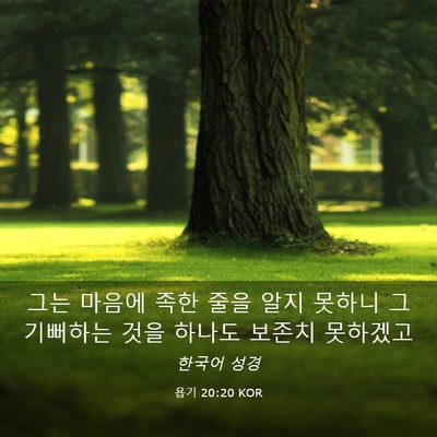 Picture 03 - 욥기 20:20 KOR - 그는 마음에 족한 줄을 알지 못하니 - Bible Verse Picture