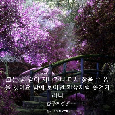 Picture 03 - 욥기 20:8 KOR - 그는 꿈 같이 지나가니 다시 찾을 수 - Bible Verse Picture