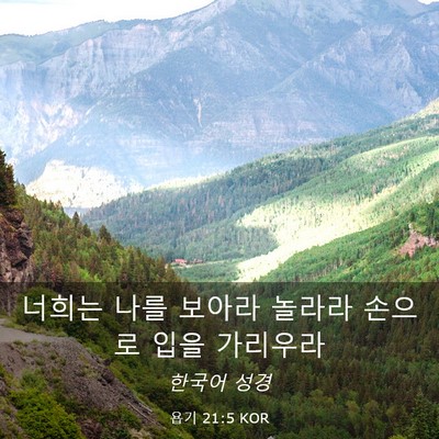 Picture 03 - 욥기 21:5 KOR - 너희는 나를 보아라 놀라라 손으로 - Bible Verse Picture