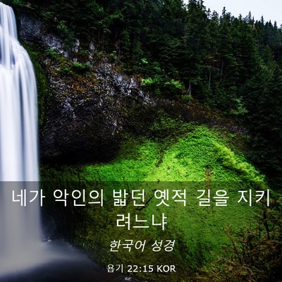 Picture 03 - 욥기 22:15 KOR - 네가 악인의 밟던 옛적 길을 - Bible Verse Picture