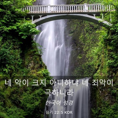 Picture 03 - 욥기 22:5 KOR - 네 악이 크지 아니하냐 네 죄악이 - Bible Verse Picture