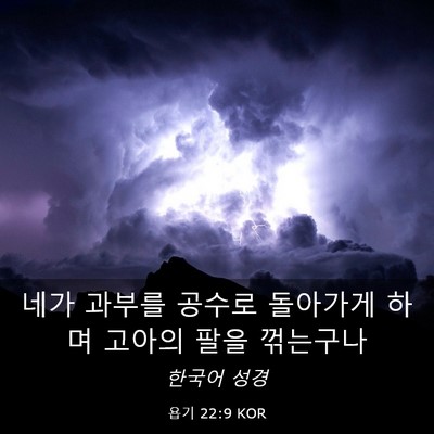 Picture 03 - 욥기 22:9 KOR - 네가 과부를 공수로 돌아가게 하며 - Bible Verse Picture