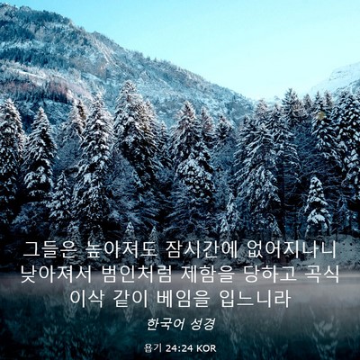 Picture 03 - 욥기 24:24 KOR - 그들은 높아져도 잠시간에 - Bible Verse Picture