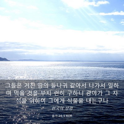 Picture 03 - 욥기 24:5 KOR - 그들은 거친 땅의 들나귀 같아서 - Bible Verse Picture