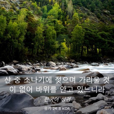 Picture 03 - 욥기 24:8 KOR - 산 중 소나기에 젖으며 가리울 것이 - Bible Verse Picture