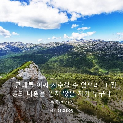 Picture 03 - 욥기 25:3 KOR - 그 군대를 어찌 계수할 수 있으랴 그 - Bible Verse Picture
