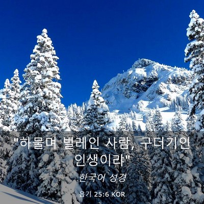 Picture 03 - 욥기 25:6 KOR - 