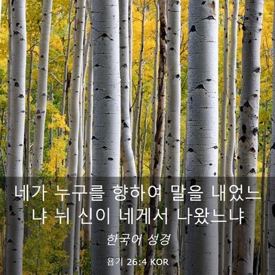 Picture 03 - 욥기 26:4 KOR - 네가 누구를 향하여 말을 내었느냐 - Bible Verse Picture