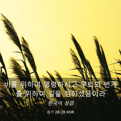 Picture 03 - 욥기 28:26 KOR - 비를 위하여 명령하시고 우뢰의 - Bible Verse Picture