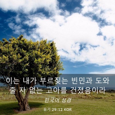 Picture 03 - 욥기 29:12 KOR - 이는 내가 부르짖는 빈민과 도와줄 - Bible Verse Picture