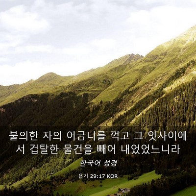 Picture 03 - 욥기 29:17 KOR - 불의한 자의 어금니를 꺽고 그 - Bible Verse Picture