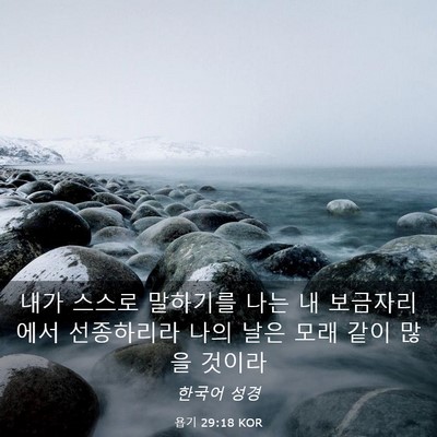 Picture 03 - 욥기 29:18 KOR - 내가 스스로 말하기를 나는 내 - Bible Verse Picture
