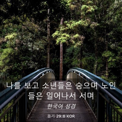 Picture 03 - 욥기 29:8 KOR - 나를 보고 소년들은 숨으며 노인들은 - Bible Verse Picture