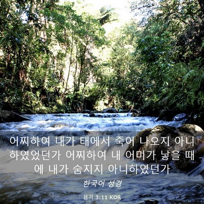 Picture 03 - 욥기 3:11 KOR - 어찌하여 내가 태에서 죽어 나오지 - Bible Verse Picture