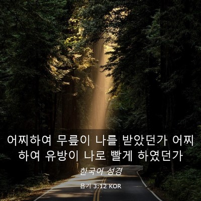Picture 03 - 욥기 3:12 KOR - 어찌하여 무릎이 나를 받았던가 - Bible Verse Picture