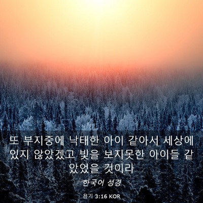 Picture 03 - 욥기 3:16 KOR - 또 부지중에 낙태한 아이 같아서 - Bible Verse Picture