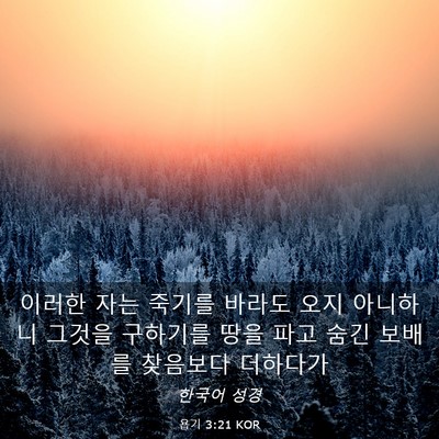 Picture 03 - 욥기 3:21 KOR - 이러한 자는 죽기를 바라도 오지 - Bible Verse Picture
