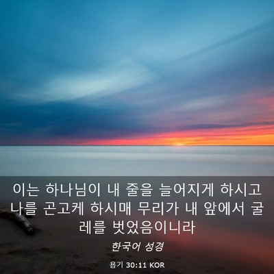 Picture 03 - 욥기 30:11 KOR - 이는 하나님이 내 줄을 늘어지게 - Bible Verse Picture
