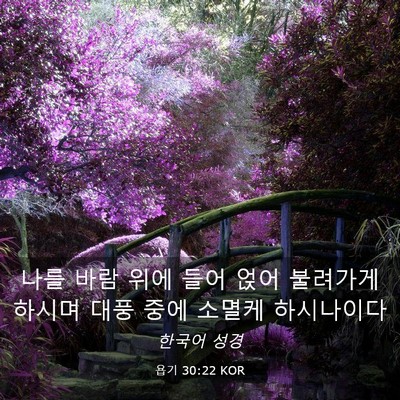 Picture 03 - 욥기 30:22 KOR - 나를 바람 위에 들어 얹어 불려가게 - Bible Verse Picture