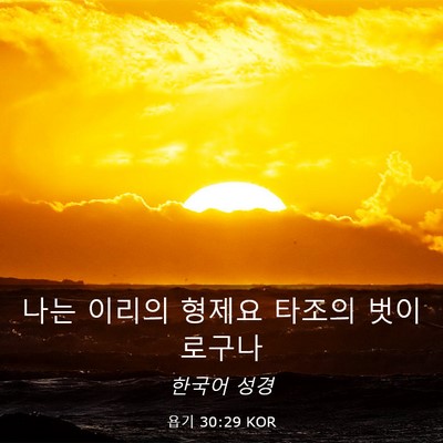 Picture 03 - 욥기 30:29 KOR - 나는 이리의 형제요 타조의 - Bible Verse Picture