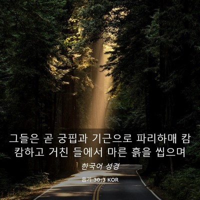Picture 03 - 욥기 30:3 KOR - 그들은 곧 궁핍과 기근으로 파리하매 - Bible Verse Picture