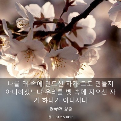 Picture 03 - 욥기 31:15 KOR - 나를 태 속에 만드신 자가 그도 - Bible Verse Picture
