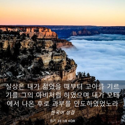 Picture 03 - 욥기 31:18 KOR - 실상은 내가 젊었을 때부터 고아를 - Bible Verse Picture