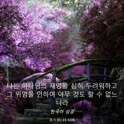 Picture 03 - 욥기 31:23 KOR - 나는 하나님의 재앙을 심히 - Bible Verse Picture