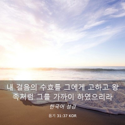 Picture 03 - 욥기 31:37 KOR - 내 걸음의 수효를 그에게 고하고 - Bible Verse Picture