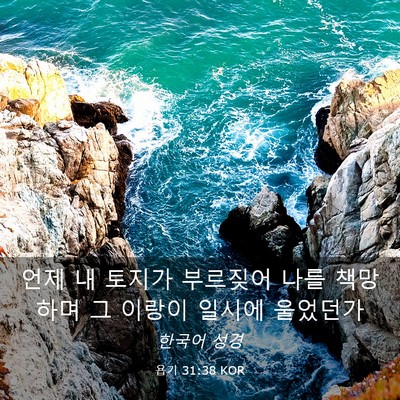 Picture 03 - 욥기 31:38 KOR - 언제 내 토지가 부르짖어 나를 - Bible Verse Picture
