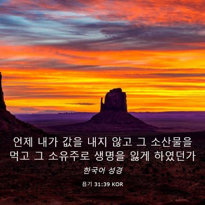 Picture 03 - 욥기 31:39 KOR - 언제 내가 값을 내지 않고 그 - Bible Verse Picture