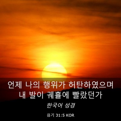Picture 03 - 욥기 31:5 KOR - 언제 나의 행위가 허탄하였으며 내 - Bible Verse Picture