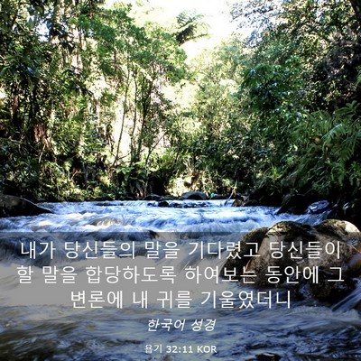 Picture 03 - 욥기 32:11 KOR - 내가 당신들의 말을 기다렸고 - Bible Verse Picture