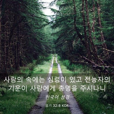 Picture 03 - 욥기 32:8 KOR - 사람의 속에는 심령이 있고 전능자의 - Bible Verse Picture