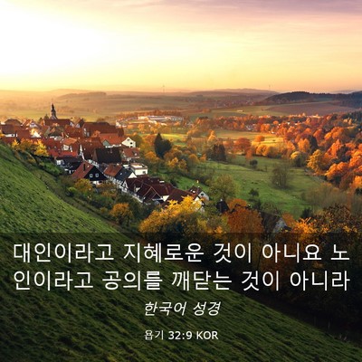 Picture 03 - 욥기 32:9 KOR - 대인이라고 지혜로운 것이 아니요 - Bible Verse Picture