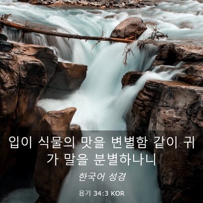 Picture 03 - 욥기 34:3 KOR - 입이 식물의 맛을 변별함 같이 귀가 - Bible Verse Picture