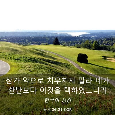 Picture 03 - 욥기 36:21 KOR - 삼가 악으로 치우치지 말라 네가 - Bible Verse Picture