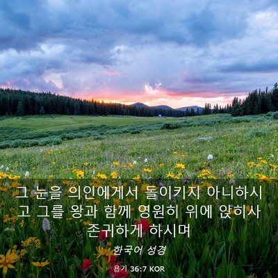 Picture 03 - 욥기 36:7 KOR - 그 눈을 의인에게서 돌이키지 - Bible Verse Picture