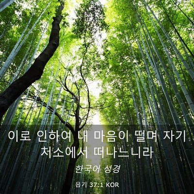 Picture 03 - 욥기 37:1 KOR - 이로 인하여 내 마음이 떨며 자기 - Bible Verse Picture