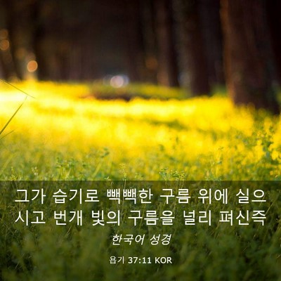 Picture 03 - 욥기 37:11 KOR - 그가 습기로 빽빽한 구름 위에 - Bible Verse Picture
