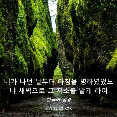 Picture 03 - 욥기 38:12 KOR - 네가 나던 날부터 아침을 - Bible Verse Picture