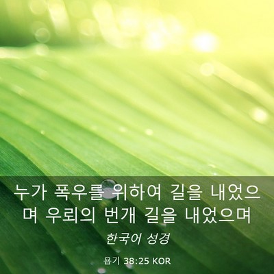 Picture 03 - 욥기 38:25 KOR - 누가 폭우를 위하여 길을 내었으며 - Bible Verse Picture