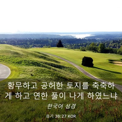 Picture 03 - 욥기 38:27 KOR - 황무하고 공허한 토지를 축축하게 - Bible Verse Picture