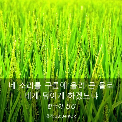 Picture 03 - 욥기 38:34 KOR - 네 소리를 구름에 올려 큰 물로 네게 - Bible Verse Picture
