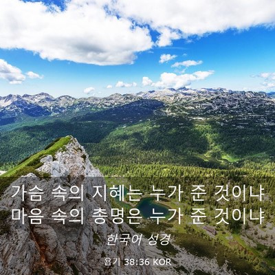 Picture 03 - 욥기 38:36 KOR - 가슴 속의 지혜는 누가 준 것이냐 - Bible Verse Picture