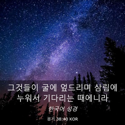 Picture 03 - 욥기 38:40 KOR - 그것들이 굴에 엎드리며 삼림에 - Bible Verse Picture