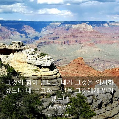Picture 03 - 욥기 39:11 KOR - 그것의 힘이 많다고 네가 그것을 - Bible Verse Picture