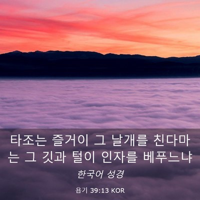 Picture 03 - 욥기 39:13 KOR - 타조는 즐거이 그 날개를 친다마는 - Bible Verse Picture