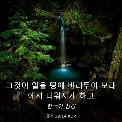 Picture 03 - 욥기 39:14 KOR - 그것이 알을 땅에 버려두어 모래에서 - Bible Verse Picture