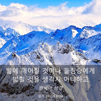 Picture 03 - 욥기 39:15 KOR - 발에 깨어질 것이나 들짐승에게 밟힐 - Bible Verse Picture